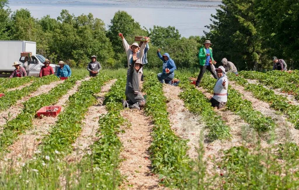 people-at-the-farm- farm jobs in Canada with visa sponsorship